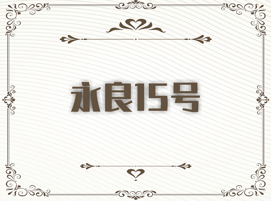 宁春16号